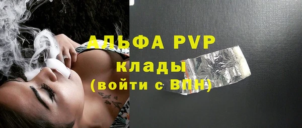 СК Белокуриха