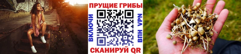 магазин    Ворсма  Галлюциногенные грибы мухоморы 